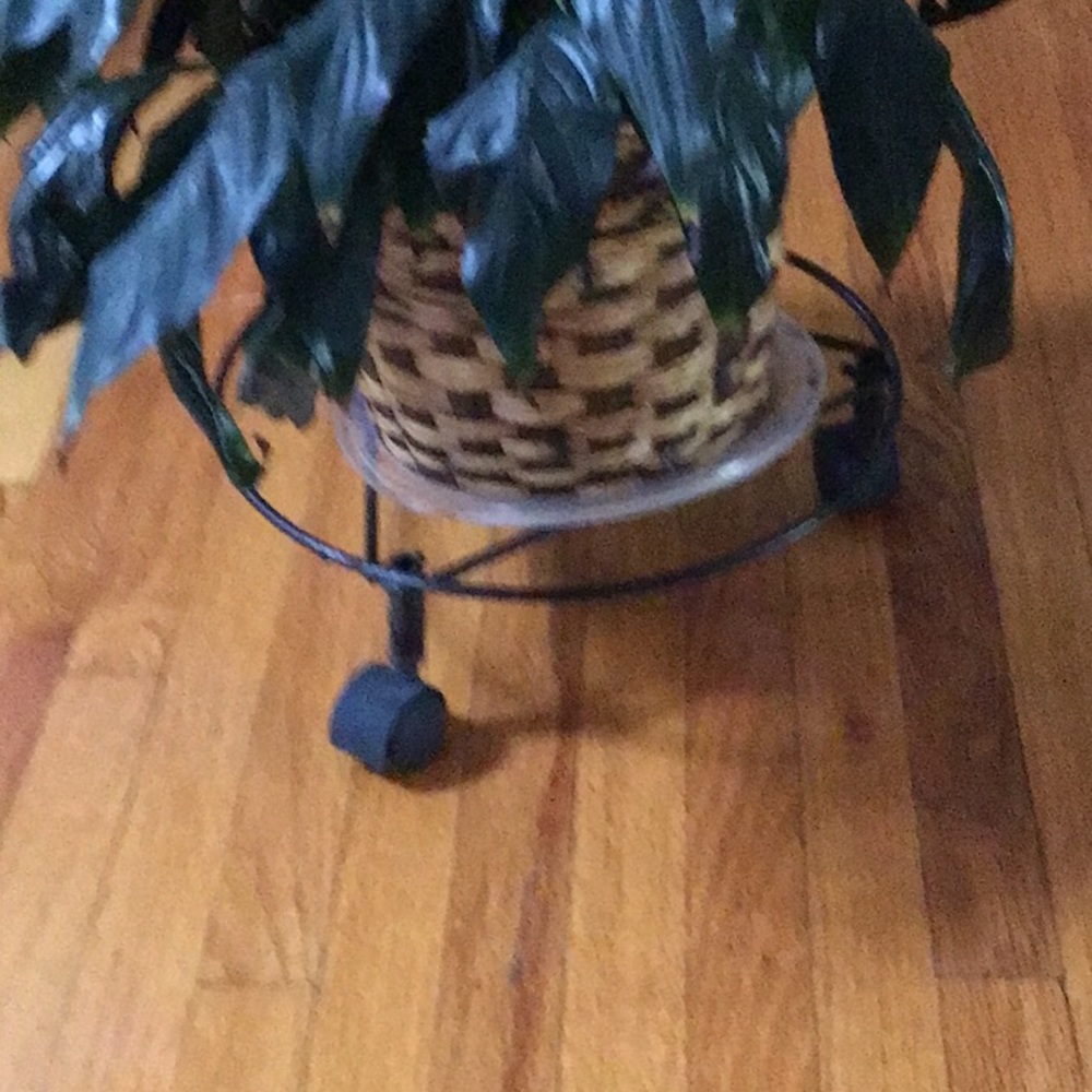 Black metal roller plant stand